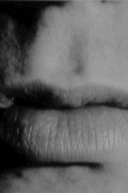 Poster Screen Test [ST264]: Lou Reed 1966