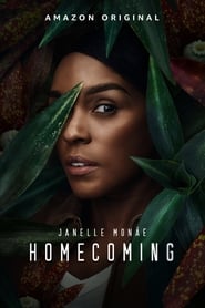 Imagem Homecoming: De Volta à Pátria Torrent