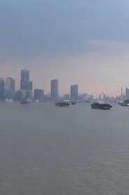 Ships Passing on the Huangpu River