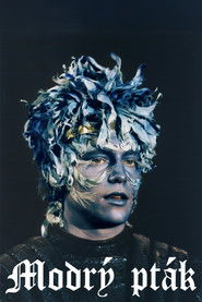 Modr&yacute; pt&aacute;k (1993)