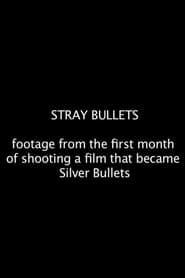 Poster Stray Bullets 2012