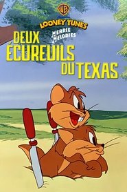 Deux écureuils du Texas