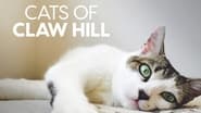 Cats of Claw Hill en streaming
