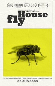 The Unencumbered Life of a French House Fly
