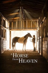 A Horse from Heaven ネタバレ