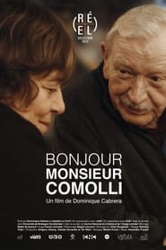 Poster Bonjour Monsieur Comolli