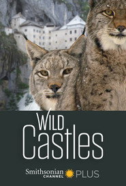 Wild Castles постер