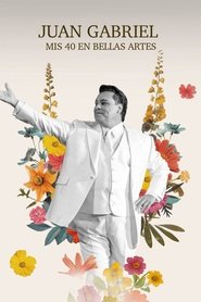 Poster Mis 40 en Bellas Artes 2014