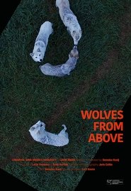 Poster Wolves From Above 2017