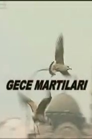 Poster Gece Martıları