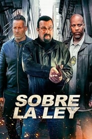 Más allá de la ley Película Completa HD 720p [MEGA] [LATINO] 2019