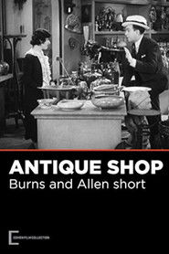 The Antique Shop