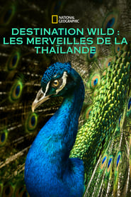 Destination Wild : Les merveilles de la Thaïlande