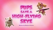 Pups Save a High-Flying Skye