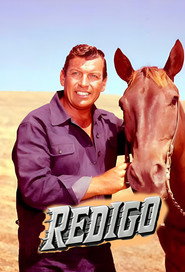 Poster Redigo - Season 1 Episode 2 : The Blooded Bull 1963