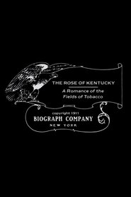Poster The Rose of Kentucky 1911