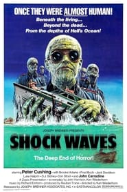 Shock Waves