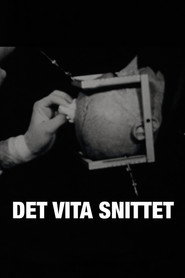 Det vita snittet (2010)