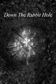 Down The Rabbit Hole