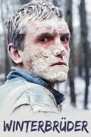 Winterbrüder (2017)