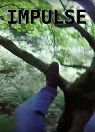 Poster Impulse 2016