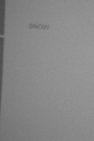 Poster Snow 2020