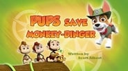 Pups Save Monkey-Dinger