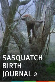 Poster for Sasquatch Birth Journal 2