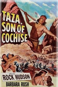 Taza, Son of Cochise ネタバレ