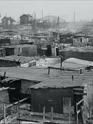 Une vie en transit, ou l'illusion du provisoire (2024)