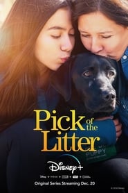 Pick of the Litter постер