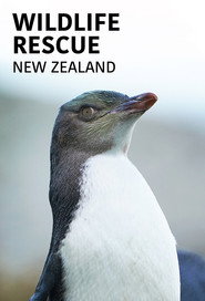 Wildlife Rescue New Zealand (2019)