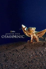 Sekretne życie ośmiornic