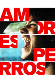 Amores Perros