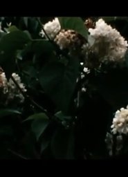Le bruit du temps, Messaoud 2014 Libreng Walang limitasyong Pag-access