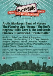 Poster Arctic Monkeys - Northside 2013 2013