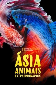 Asia's Weirdest