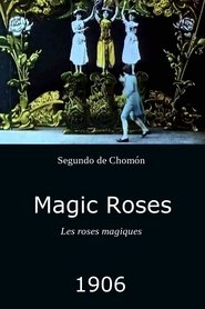 Poster Magic Roses 1906