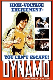 Poster Dynamo 1978