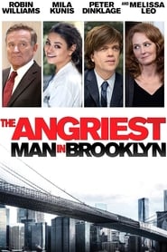 The Angriest Man in Brooklyn (2014) The Angriest Man in Brooklyn (2014)