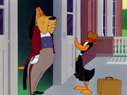Daffy Dilly