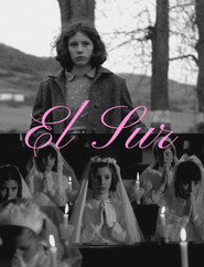 El Sur постер