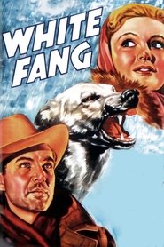Poster White Fang 1936