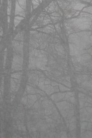 Poster Snowfall and After 2012