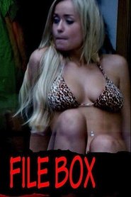 File Box (2013)