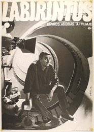 Poster Labyrinth 1976