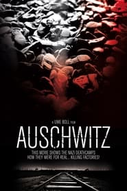 Auschwitz (2011) poster