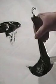 Zen, in Search of Enlightenment (1994)