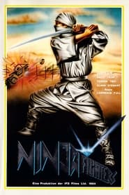 Poster Ninja Fighters