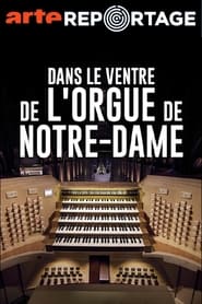 Dans le ventre de l'orgue de Notre-Dame